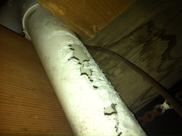 Rat damage on pipe